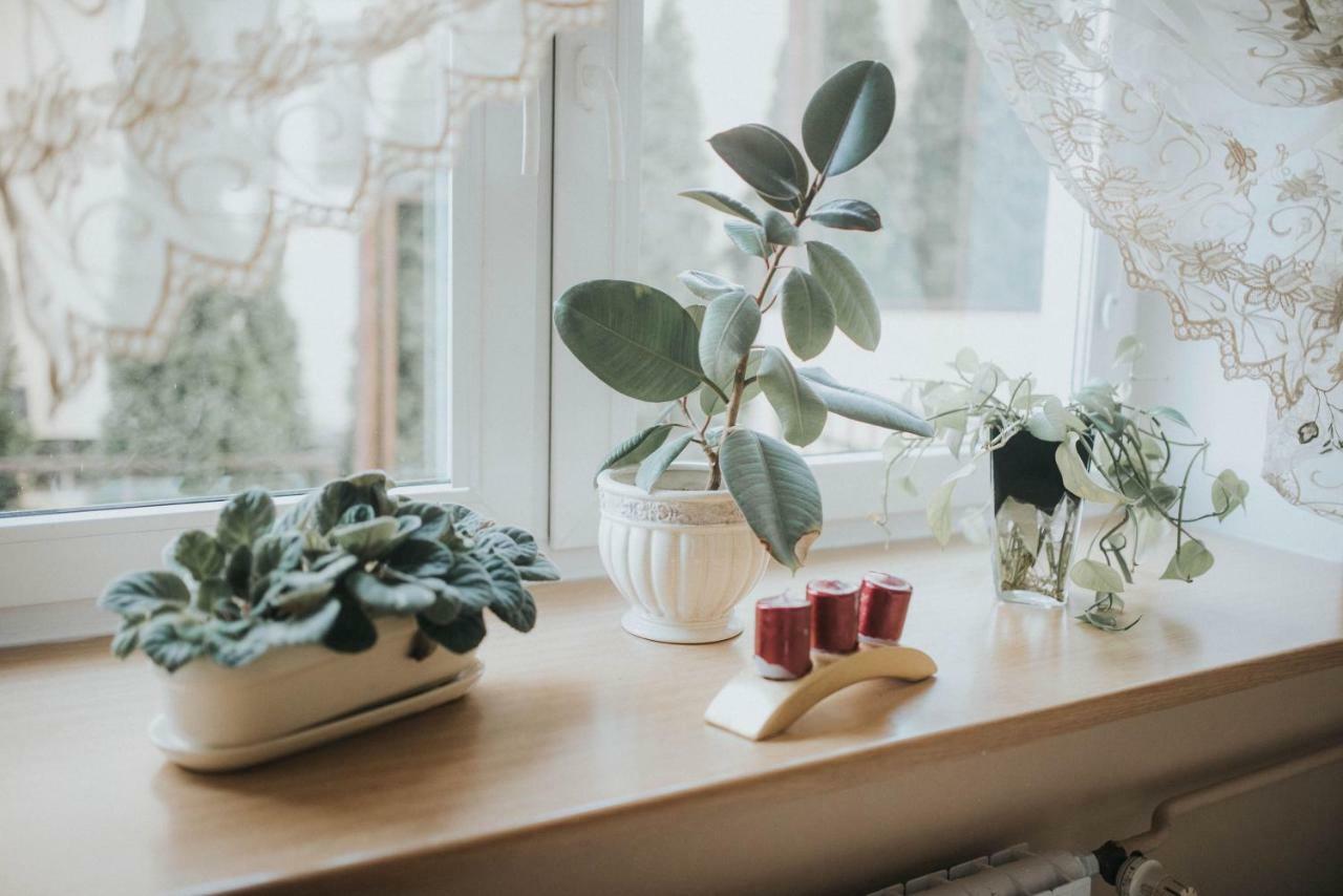 Wakacyjna Przygoda W Gdyni Gdynia Extérieur photo